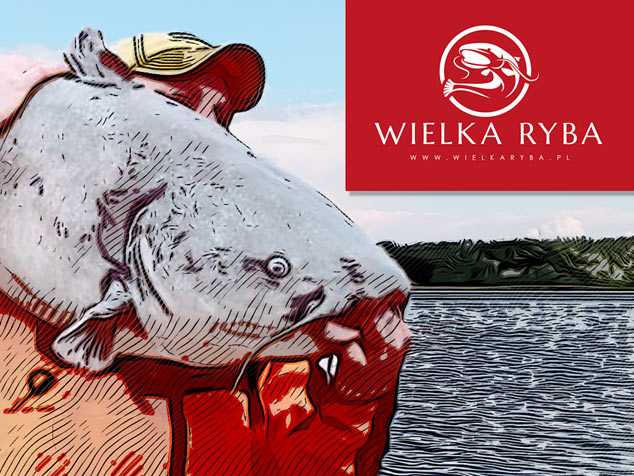 tworzenie sklepów prestashop w 7 dni